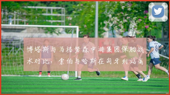 博塔斯与马格努森中游集团保胎战术对比，索伯与哈斯在匈牙利站高温下轮胎寿命差异
