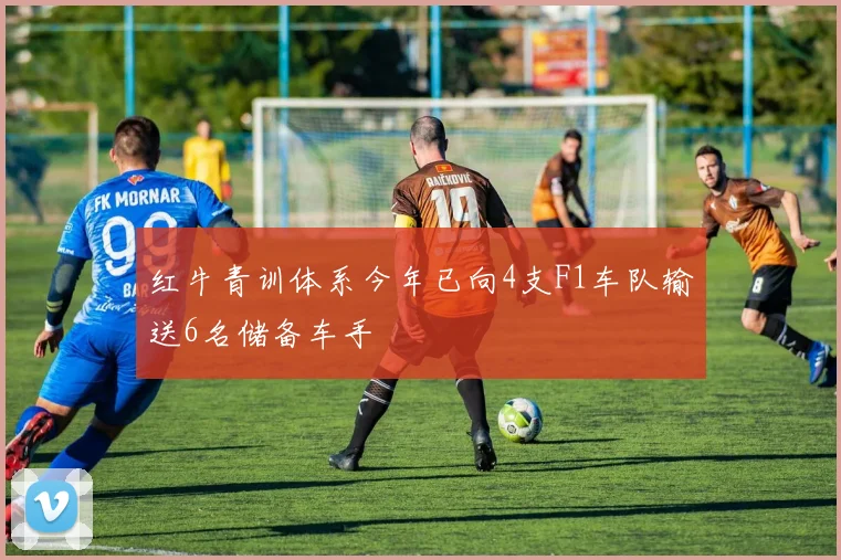 红牛青训体系今年已向4支F1车队输送6名储备车手